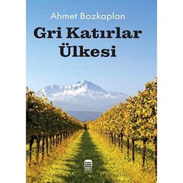 Gri Katırlar Ülkesi - Ahmet Bozkaplan