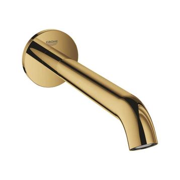 Grohe 13449GL1 Essence Çıkış Ucu