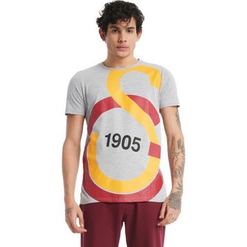GS Store E88153 Gri Galatasaray Büyük Logolu Tee Erkek T-shirt