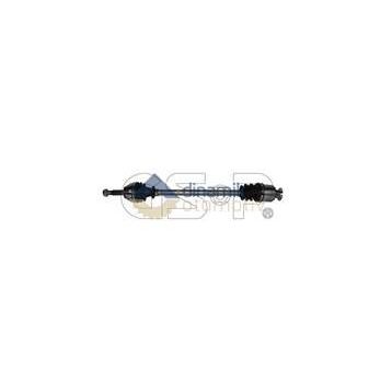 GSP 250122 Aks