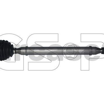 GSP 261223 Aks