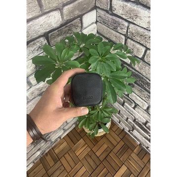 Guard Siyah Fermuarlı Deri Mini Aksesuar Çantası