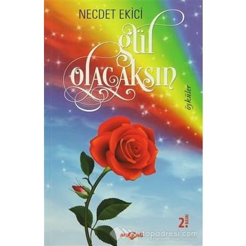Gül Olacaksın - Necdet Ekici