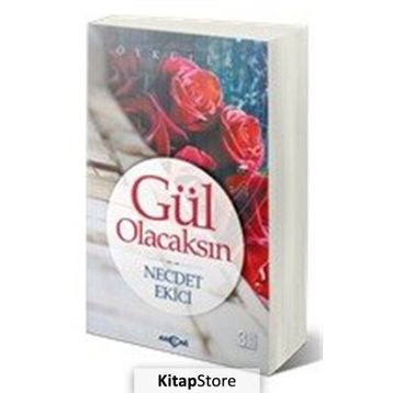 Gül Olacaksın - Necdet Ekici