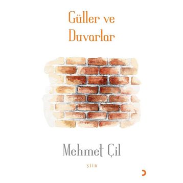 Güller ve Duvarlar - Mehmet Çil