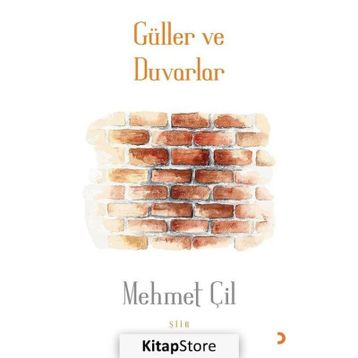 Güller ve Duvarlar - Mehmet Çil