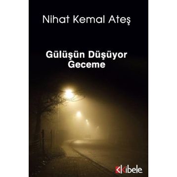 Gülüşün Düşüyor Geceme - Nihat Kemal Ateş