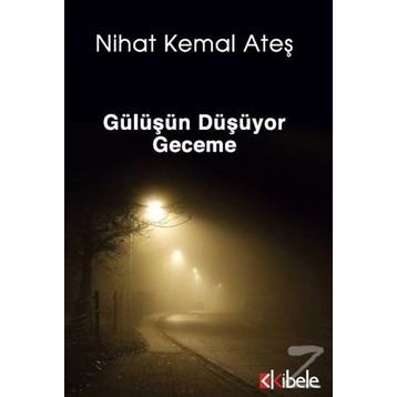 Gülüşün Düşüyor Geceme - Nihat Kemal Ateş
