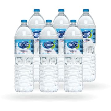 Gümüş Su 1.5LT SU