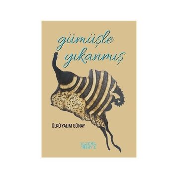 Gümüşle Yıkanmış - Ülkü Yalım Günay