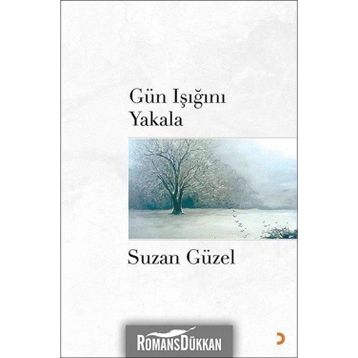 Gün Işığını Yakala - Suzan Güzel