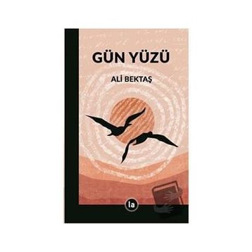 Gün Yüzü - Ali Bektaş