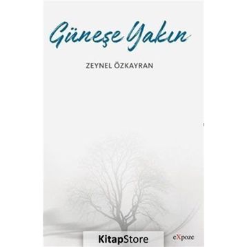 Güneşe Yakın - Zeynel Özkayran