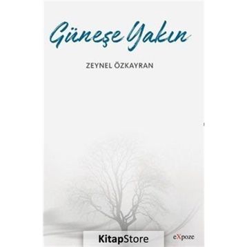 Güneşe Yakın - Zeynel Özkayran