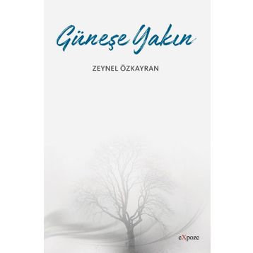 Güneşe Yakın - Zeynel Özkayran
