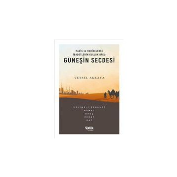 Güneşin Secdesi -Veysel Akkaya
