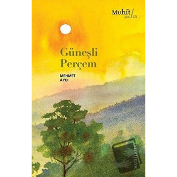Güneşli Perçem - Mehmet Aycı