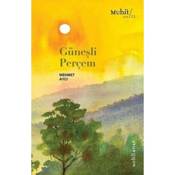 Güneşli Perçem - Mehmet Aycı