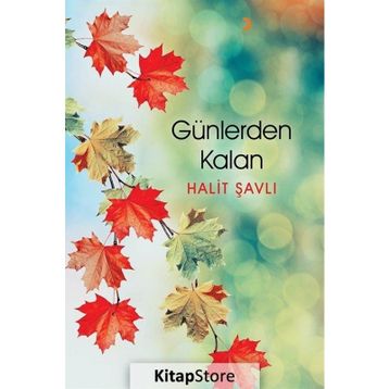 Günlerden Kalan - Halit Şavlı