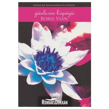 GÜNLERİN KÖPÜĞÜ - BORIS VIAN