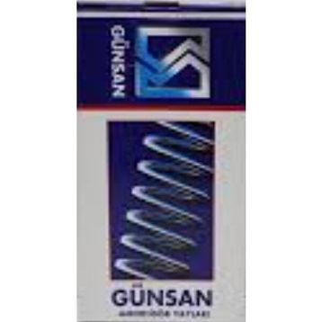 Günsan 01 0550 Doblo Ön Helezon Yayı