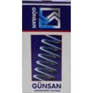 Gunsan 80102 Arka Helezon Yayı