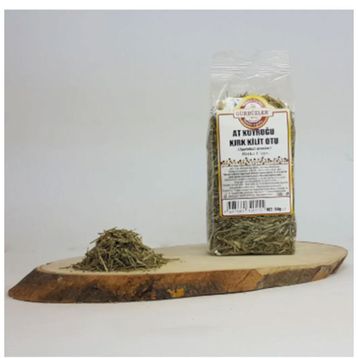 Gürbüzler 50 gr At Kuyruğu Kırkkilit Otu