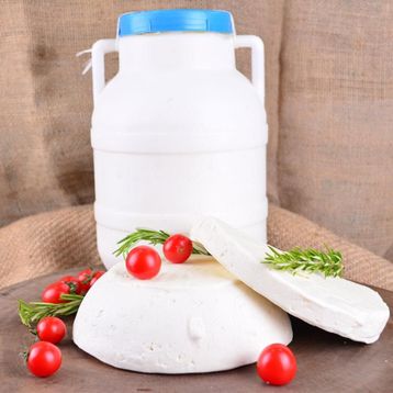 Gurmepark Erzincan Şavak Bidon 500 gr Koyun Tulum Peyniri
