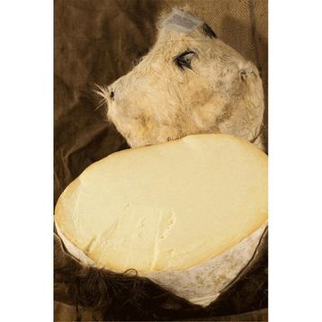 Gurmepark İnek 1 kg Ermenek Deri Tulum Peyniri