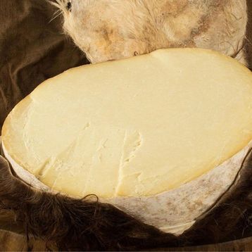 Gurmepark Koyun Keçi 500 gr Ermenek Tulum Peyniri