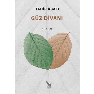 Güz Divanı - Tahir Abacı