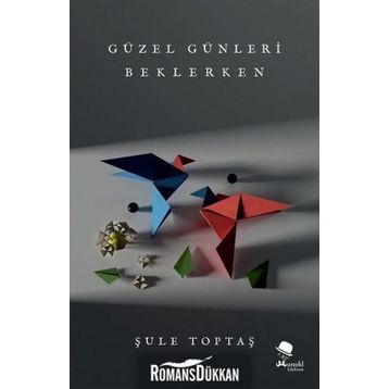 Güzel Günleri Beklerken - Şule Toptaş