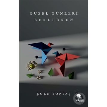 Güzel Günleri Beklerken - Şule Toptaş