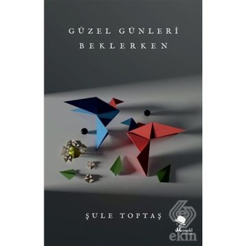 Güzel Günleri Beklerken - Şule Toptaş