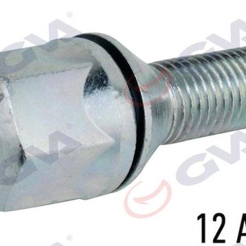 Gva 8810118 Renault 9-11 Pullu-Çinko-Beyaz Paket 12 Bijon Civatası