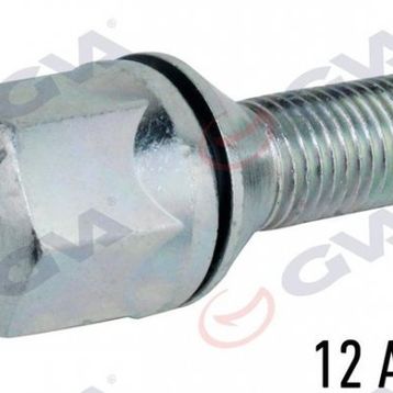 Gva 8810118 Renault 9-11 Pullu-Çinko-Beyaz Paket 12 Bijon Civatası