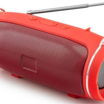 Hadron Chargemin4 Kırmızı Müzik Çalar