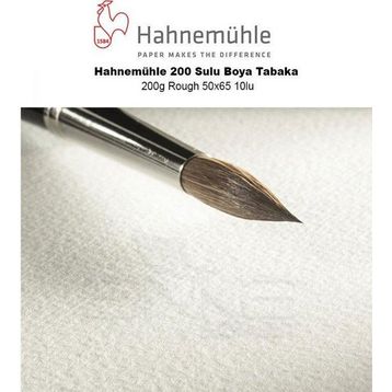 Hahnemühle 200 g Rough 50x65 10'lu 200 Sulu Boya Tabaka