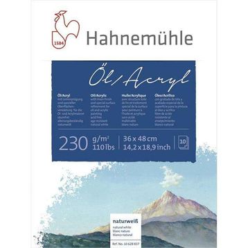 Hahnemühle 230 gr 36x48 cm 10 Yaprak Akrilik Yağlı Boya Blok