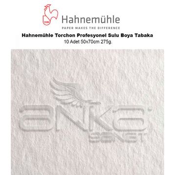 Hahnemühle Torchon Profesyonel 10 Adet 50x70 cm 275 gr Sulu Boya Tabaka