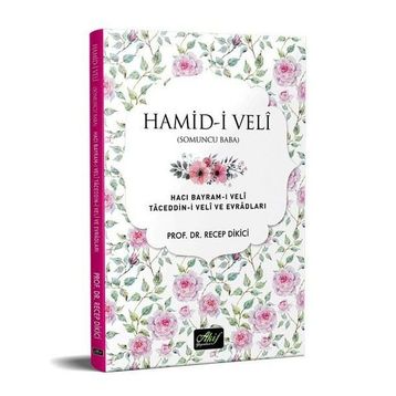 Hamid-i Veli Somuncu Baba - Recep Dikici