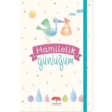 Hamilelik Günlüğüm - Evrim Gürel Süveydan