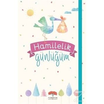 Hamilelik Günlüğüm - Evrim Gürel Süveydan