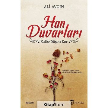 Han Duvarları - Ali Avgın