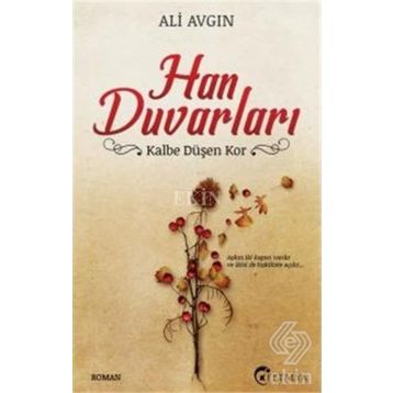 Han Duvarları - Ali Avgın