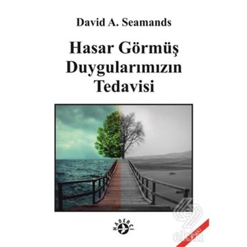 HASAR GÖRMÜŞ DUYGULARIMIZIN TEDAVISI - DAVID A. SEAMANDS