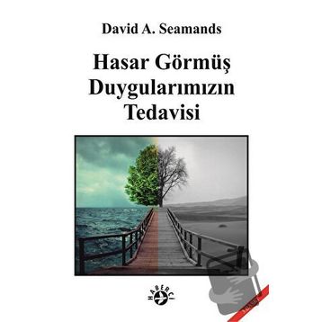 HASAR GÖRMÜŞ DUYGULARIMIZIN TEDAVISI - DAVID A. SEAMANDS