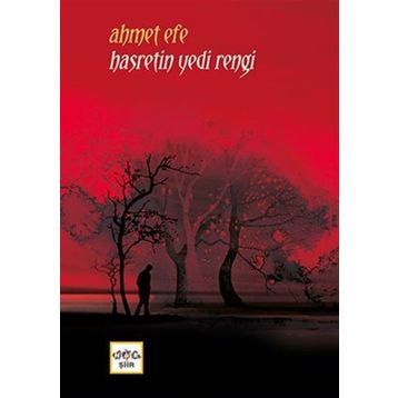 Hasretin Yedi Rengi - Ahmet Efe