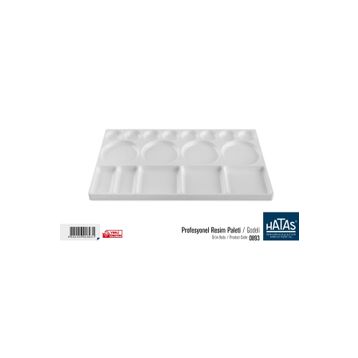 Hatas 25x35 cm Resim Paleti