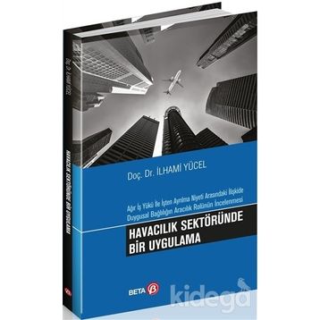 Havacılık Sektöründe Bir Uygulama - İlhami Yücel